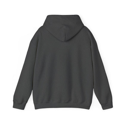 Paddy's Pub Logo Hoodie – Irish Pub St. Patrick’s Day Sweatshirt